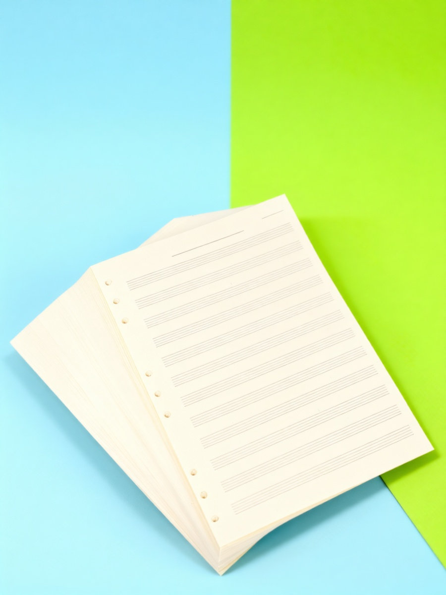 100 Sheets Music Manuscript Pa - огляд і ціна Blank Sheet Music Notebook